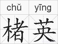 楮英的拼音