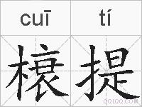 榱提的拼音
