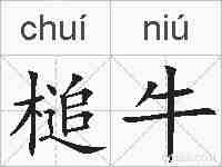 槌牛的拼音