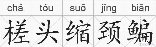 槎头缩颈鳊的拼音