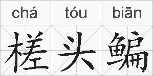 槎头鳊的拼音
