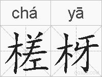 槎枒的拼音