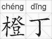 橙丁的拼音