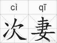 次妻的拼音