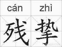 残挚的拼音