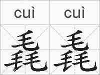 毳毳的拼音