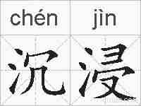 沉浸的拼音