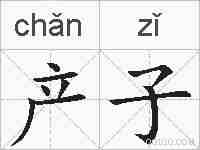 产子的拼音