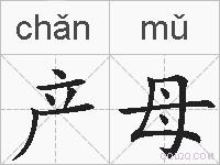 产母的拼音