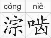 淙啮的拼音