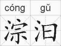 淙汩的拼音
