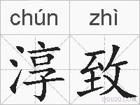 淳致的拼音