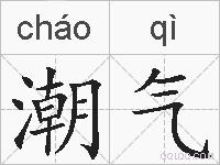 潮气的拼音