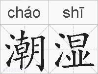 潮湿的拼音