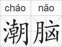 潮脑的拼音
