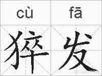 猝发的拼音