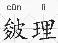皴理的拼音