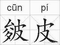 皴皮的拼音