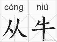 从牛的拼音