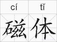 磁体的拼音