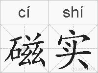 磁实的拼音