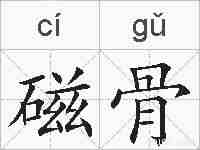 磁骨的拼音