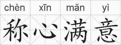 称心满意的拼音