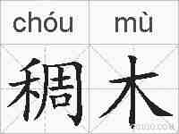稠木的拼音