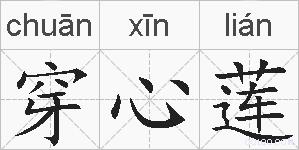 穿心莲的拼音