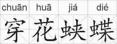穿花蛱蝶的拼音