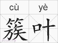 簇叶的拼音