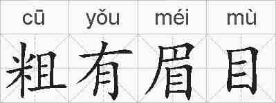 粗有眉目的拼音