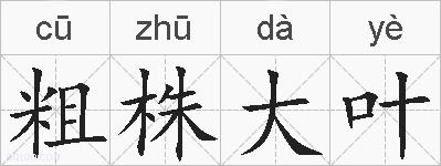 粗株大叶的拼音