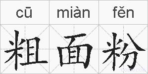 粗面粉的拼音