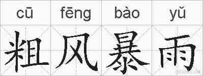 粗风暴雨的拼音
