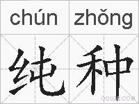 纯种的拼音