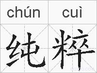 纯粹的拼音