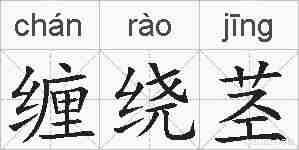 缠绕茎的拼音