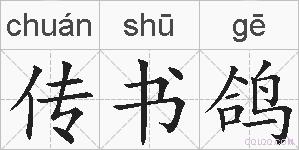 传书鸽的拼音