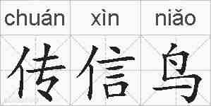 传信鸟的拼音
