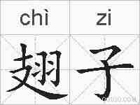 翅子的拼音