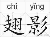 翅影的拼音