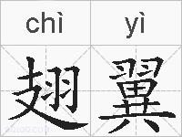 翅翼的拼音