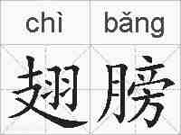 翅膀的拼音