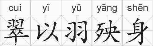 翠以羽殃身的拼音