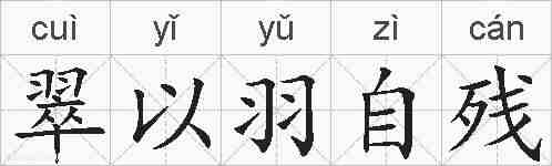 翠以羽自残的拼音