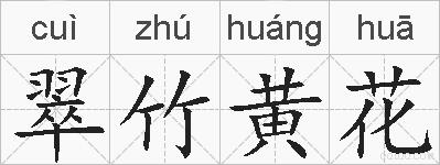 翠竹黄花的拼音