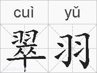 翠羽的拼音