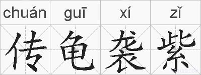 传龟袭紫的拼音