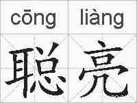 聪亮的拼音